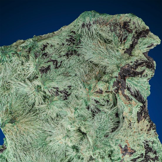 Glaukosphaerite-Kasompi Mine | Mutshatsha | Lualaba | Dem. Rep. of Congo